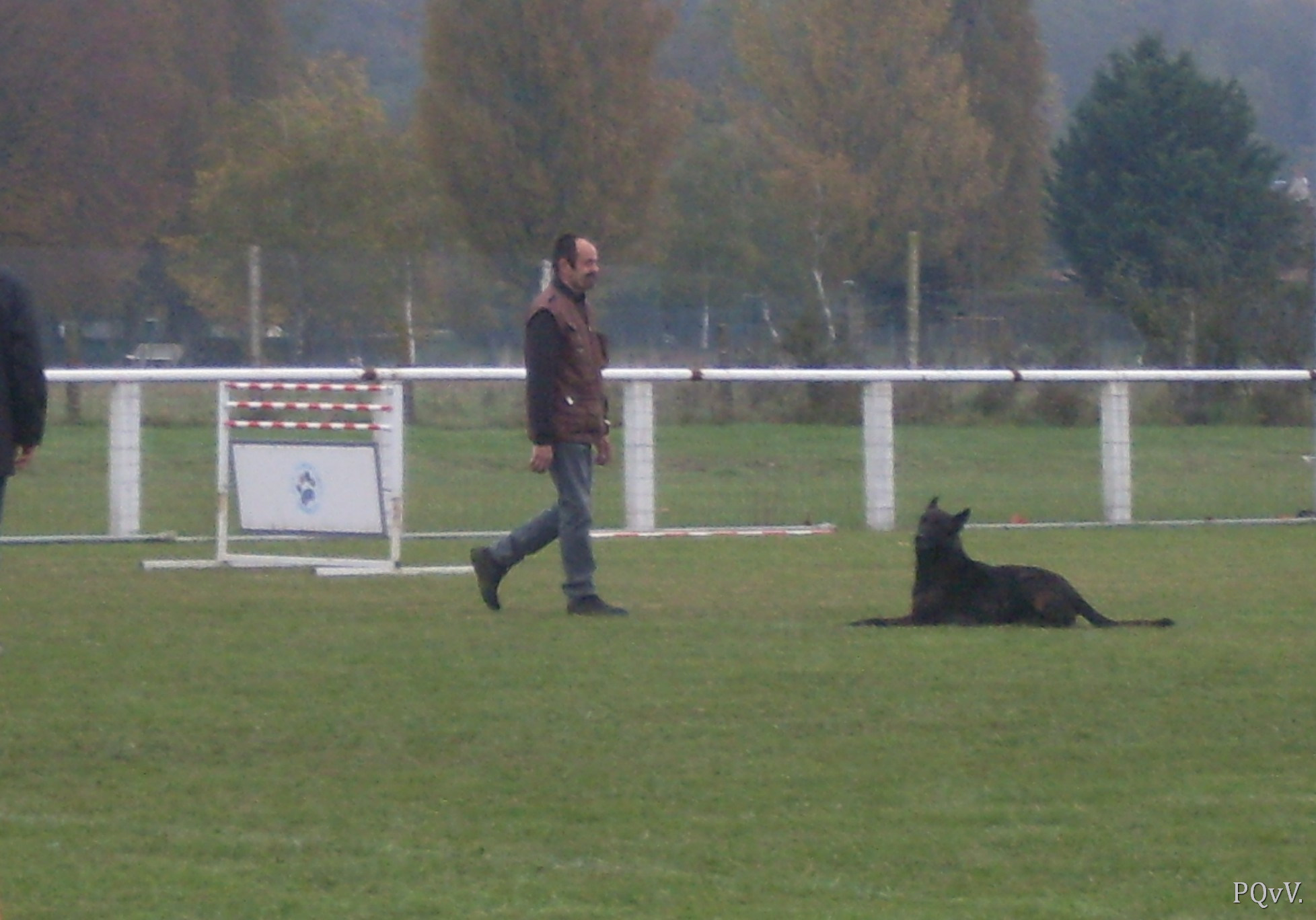 Chabal du Domaine des Sphinx Noirs 